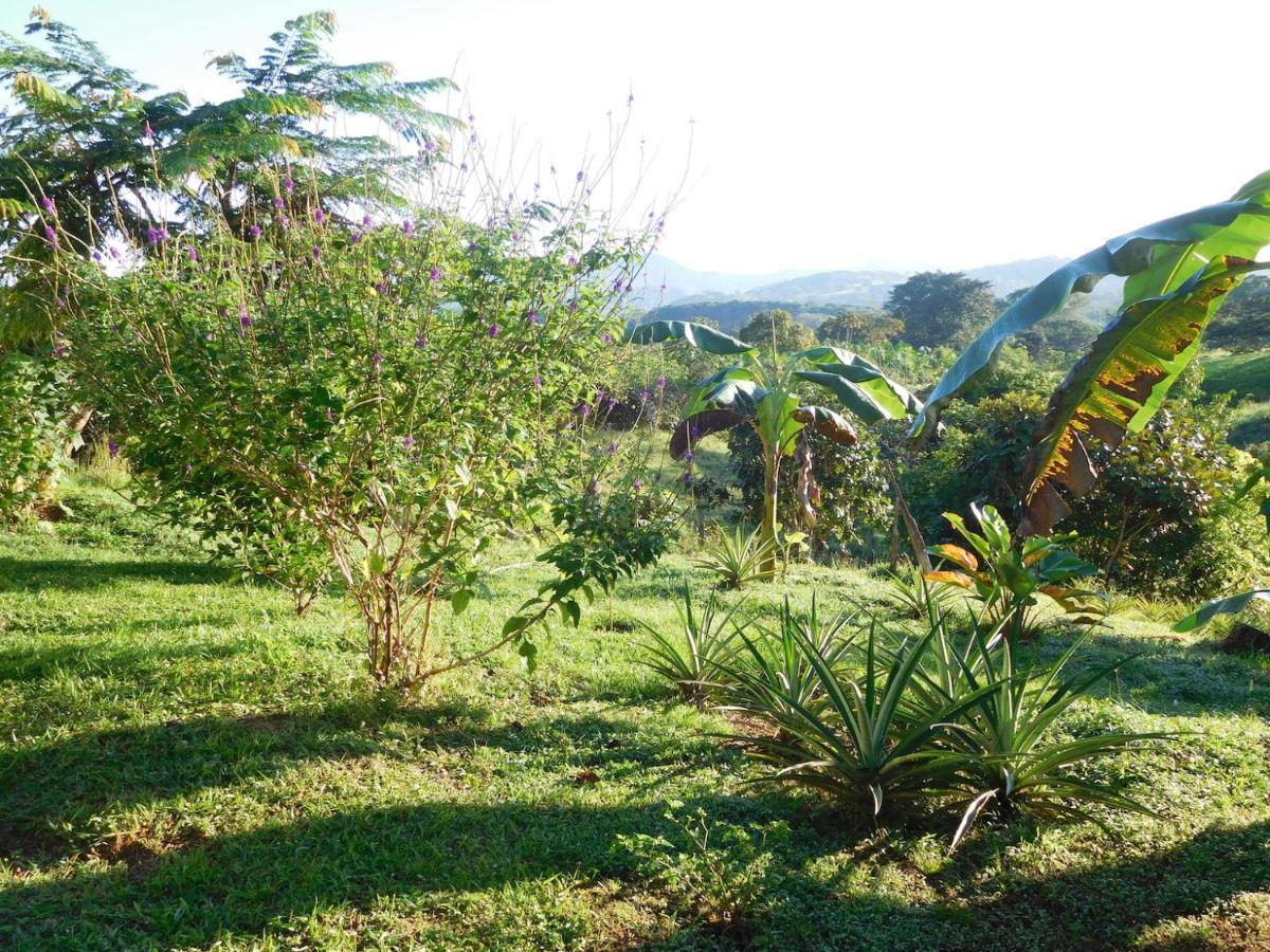 Hostal Casa Las Lajas Las Lajas  Buitenkant foto